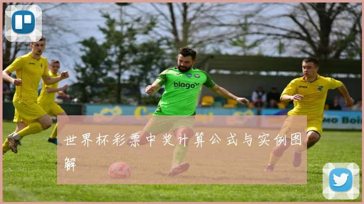 世界杯彩票中奖计算公式与实例图解