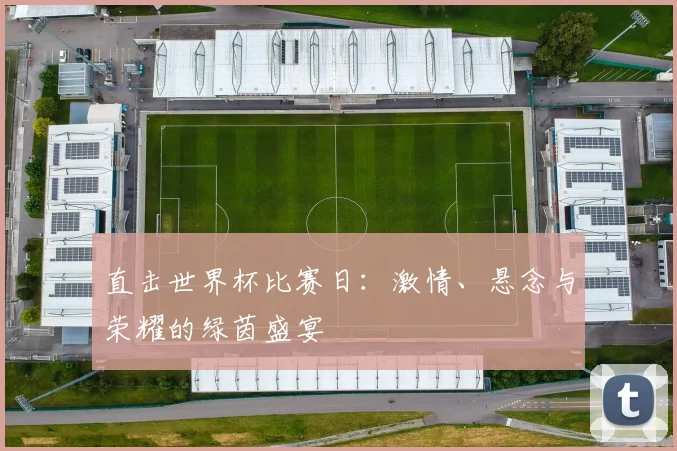 直击世界杯比赛日:激情、悬念与荣耀的绿茵盛宴