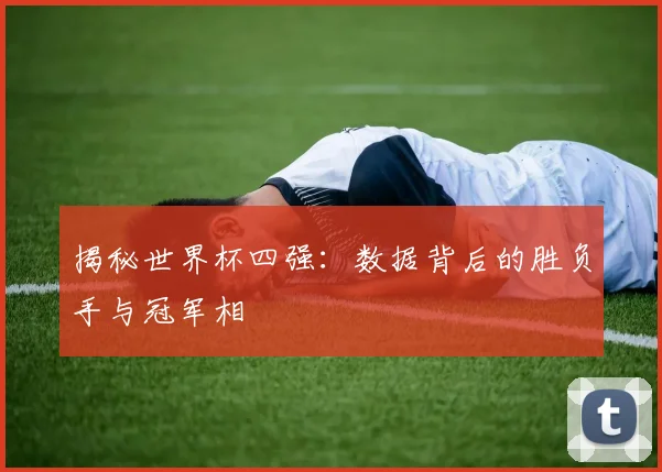 揭秘世界杯四强：数据背后的胜负手与冠军相