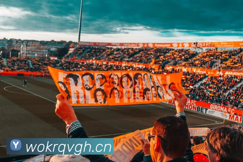 ts米兰官网入口平台生态图