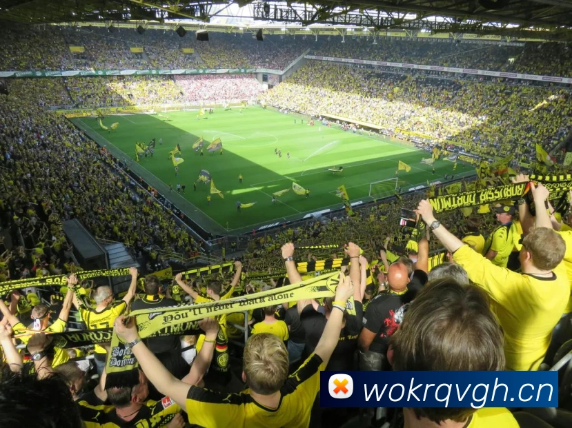 ts米兰官网入口APP 封面图